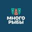 Много рыбы